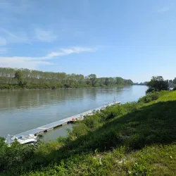 Fishing Tours on the Po River - Taglio di Po (Rovigo)