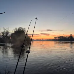 Fishing Tours on the Po River - Taglio di Po (Rovigo)