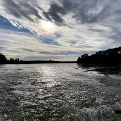 Fishing Tours on the Po River - Taglio di Po (Rovigo)