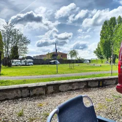 Fishing Tours on the Po River - Taglio di Po (Rovigo)