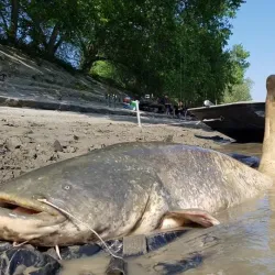 Fishing Tours on the Po River - Taglio di Po (Rovigo)