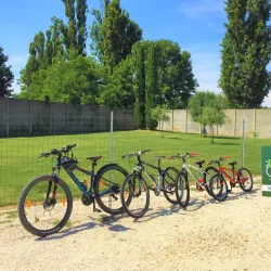 Fishing Tours on the Po River - Taglio di Po (Rovigo)