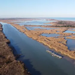 Parco Regionale Veneto del Delta del Po Visitor Center - Taglio di Po (Rovigo)