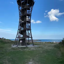 Po Delta Regional Park - Taglio di Po (Rovigo)