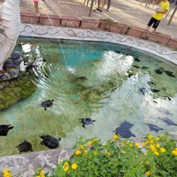 Villa Peripato - Taranto