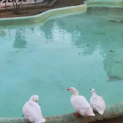 Villa Peripato - Taranto