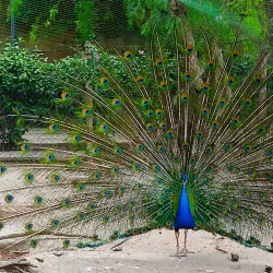 Villa Peripato - Taranto