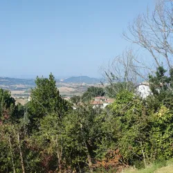 Tavullia Historic Center - Tavullia