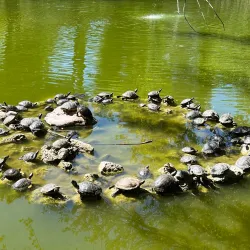 Villa Comunale di Teramo - Teramo