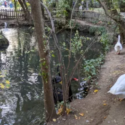 Villa Comunale di Teramo - Teramo