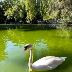 Villa Comunale di Teramo - Teramo