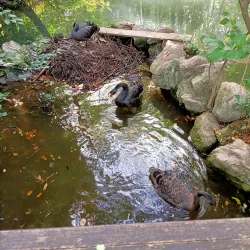 Villa Comunale di Teramo - Teramo