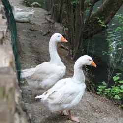 Villa Comunale di Teramo - Teramo