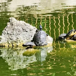 Villa Comunale di Teramo - Teramo