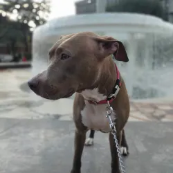 Piazza Tacito - Terni