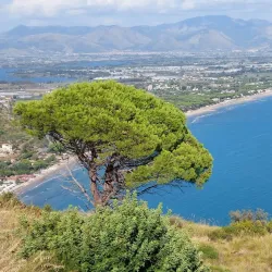 Temple of Jupiter Anxur - Terracina