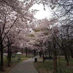 Parco della Resistenza - Tortona