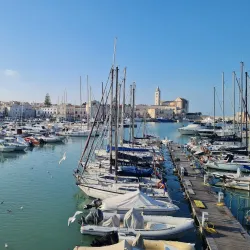Port of Trani - Trani