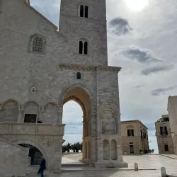 Trani Cathedral (Cathedral of San Nicola Pellegrino) - Trani