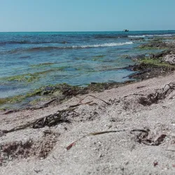 Lungomare Dante Alighieri - Trapani