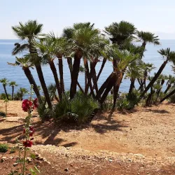Riserva Naturale dello Zingaro - Trapani