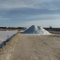 Salt Pans of Trapani and Paceco - Trapani