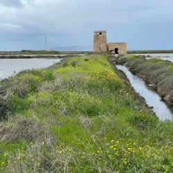 Salt Pans of Trapani and Paceco - Trapani