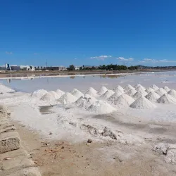 Salt Pans of Trapani and Paceco - Trapani