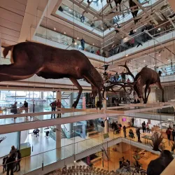 MUSE - Museo delle Scienze - Trento