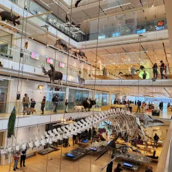 MUSE - Museo delle Scienze - Trento