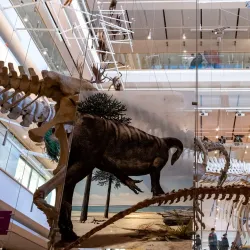 MUSE - Museo delle Scienze - Trento