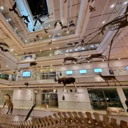 MUSE - Museo delle Scienze - Trento