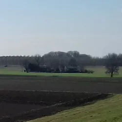 Monumento ai Caduti - Tresigallo FE