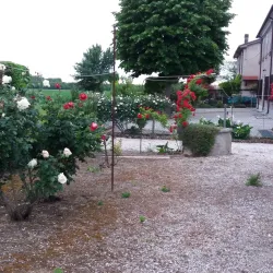 Parco delle Rimembranze - Tresigallo FE