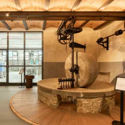 Local Olive Oil Museum - Trestina