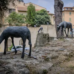 Palazzo Pretorio - Trestina