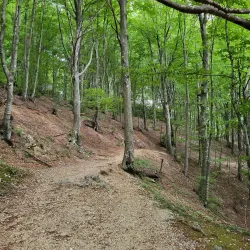 Parco del Monte Cucco - Trestina