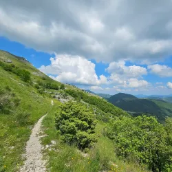 Parco del Monte Cucco - Trestina