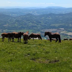 Parco del Monte Cucco - Trestina