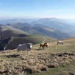 Parco del Monte Cucco - Trestina