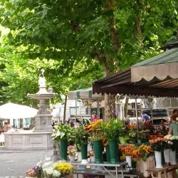 Piazza Garibaldi - Trestina