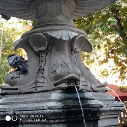 Piazza Garibaldi - Trestina