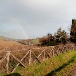 Pieve di San Giovanni Battista - Trestina