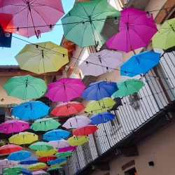 Mercato Settimanale di Treviglio - Treviglio