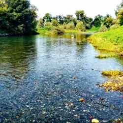 Parco del Serio - Treviglio