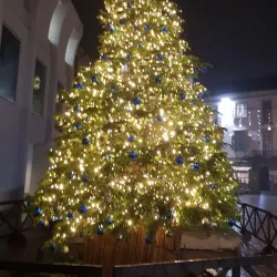 Piazza Garibaldi - Treviglio