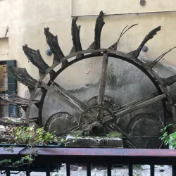 Canals of Treviso - Treviso