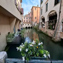 Canals of Treviso - Treviso
