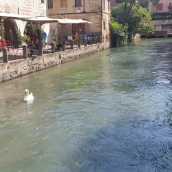 Fontana delle Tette - Treviso