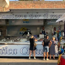 Mercato di Treviso - Treviso